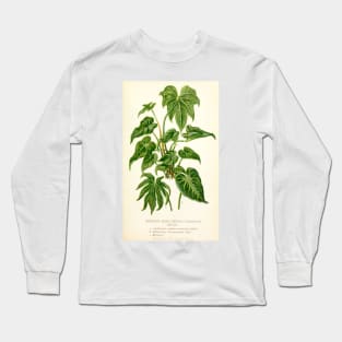 Anthurium hybrids - Botanical Illustration Long Sleeve T-Shirt